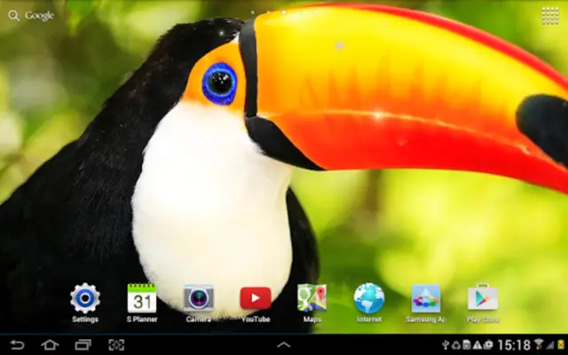 Birds Live Wallpaper android App screenshot 1