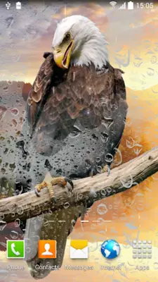 Birds Live Wallpaper android App screenshot 8